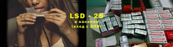 PSILOCYBIN Алзамай