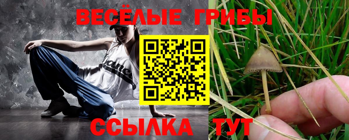 Марихуана Калининград