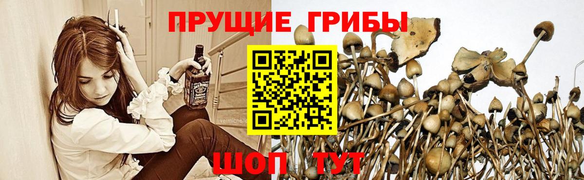 Галлюциногенные грибы мухоморы  Вход с VPN  Калининград 