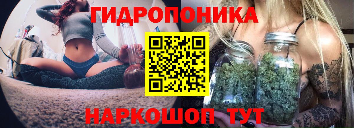 Конопля AK-47  Канабис White Widow  Каннабис Ganja  Марихуана планчик  Калининград 